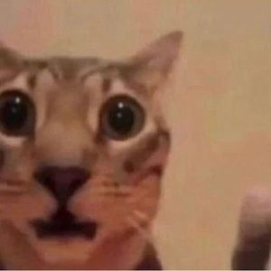 Meet your Posher, Isabella